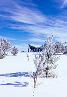 Aéroport de Kars Harakani