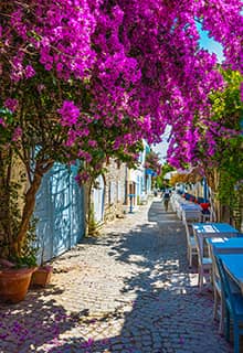 Alaçatı Blumen