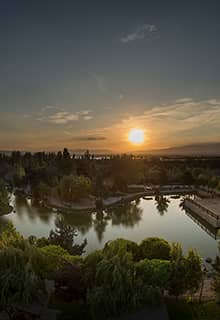 Yedikuğular Kuş Cenneti/Vogelparadies (Yedikır Baraj Gölü/Stausee)