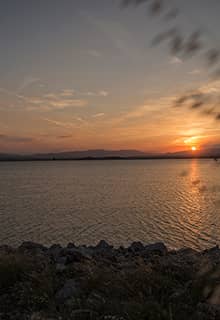 Yedikuğular Kuş Cenneti/Vogelparadies (Yedikır Baraj Gölü/Stausee)