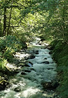 Río Fırtına Rize