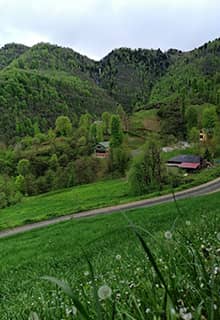 Meseta Hıdırnebi, Trabzon