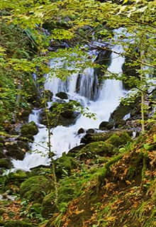 Yedigöller National Park Bolu