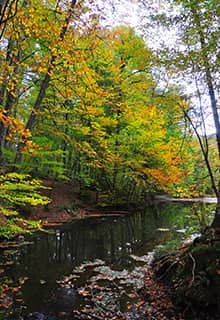 Yedigöller National Park Bolu