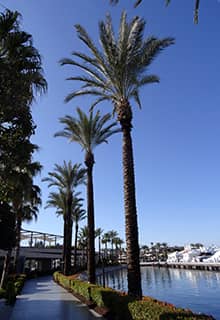 Puerto deportivo de Bodrum