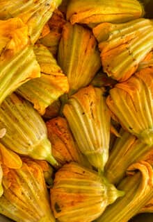 Flor de calabacín rellena