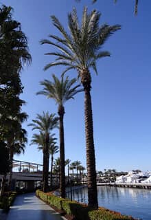 Puerto deportivo de Yalıkavak