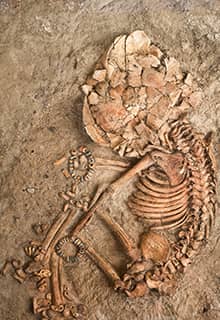 Çatalhöyük, Konya