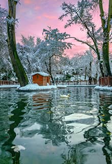 Kuğulu Park, Ankara