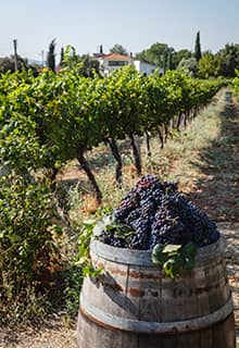 طريق باغ أورلا