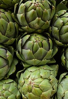 الخرشوف / الأنغينار