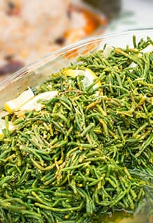 الشمرة البحرية