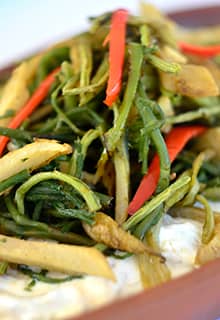 شوكت بوستان