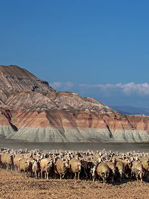 Traces of the Silk Road: A 3-Day Journey Through the Heart of Anatolia