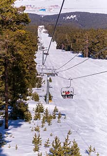 ساریکامیس کارس