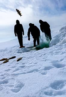 Frischer Fisch aus dem See Çıldır Kars