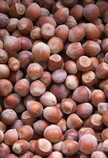 Hizan Haselnuss Bitlis