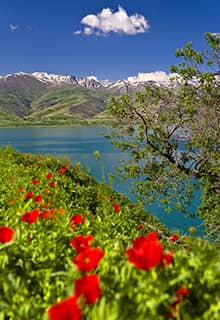 Van-See im Frühling