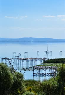 Національний парк «Пташиний рай», Баликесір