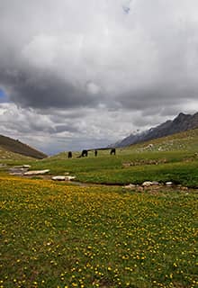 Гірське плато Болкар біля озер Карагьоль