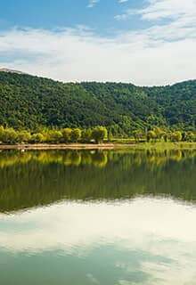 جولجوك , أوداميش