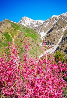 Горы Хаккари Джило