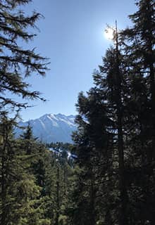 Гора Качкар, Різе