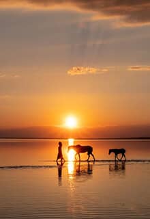 بحيرة الملح