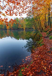 Національний парк «Єдігьоллер», Болу