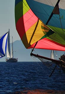 Copa de Bodrum