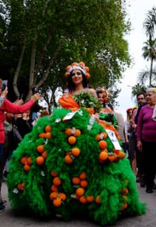 Carnaval de Azahar