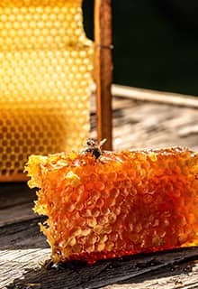 Organic Honeycombs