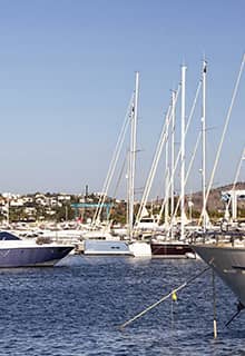 Palmarina