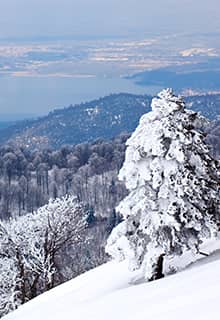 Kartepe, Sapanca