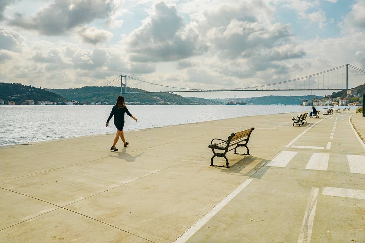 Two Sides of the Bosphorus: Fenerbahçe and Beşiktaş