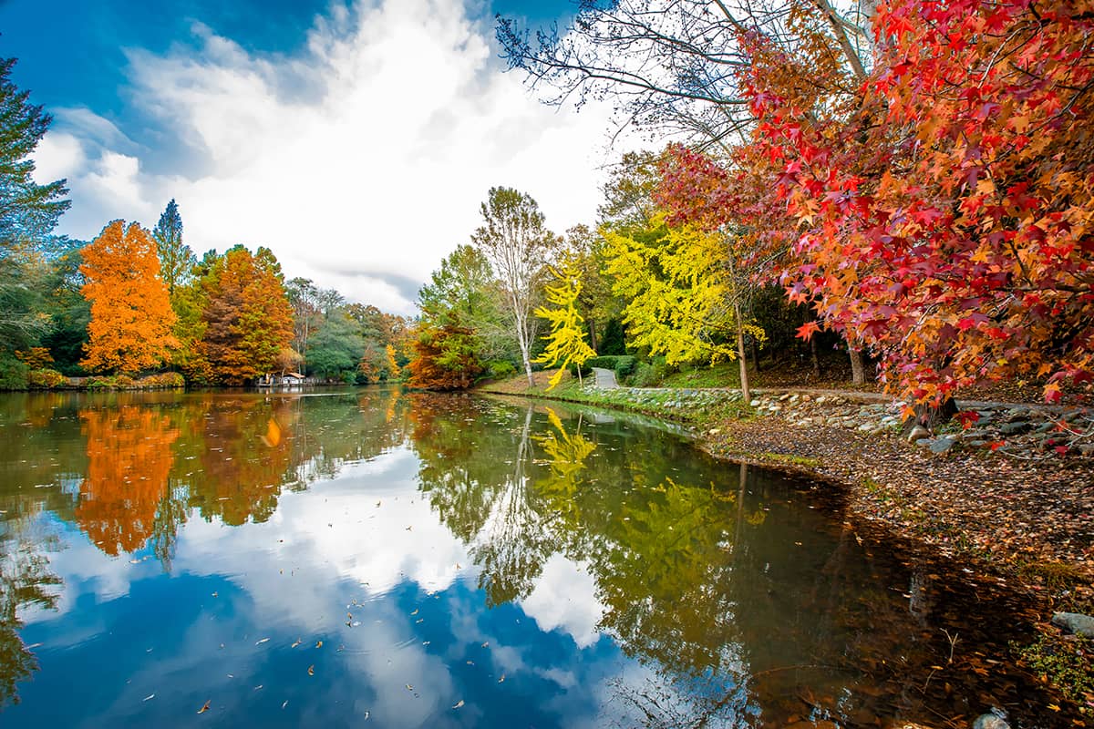 The Most Beautiful Parks & Gardens in İstanbul İstanbul GoTürkiye