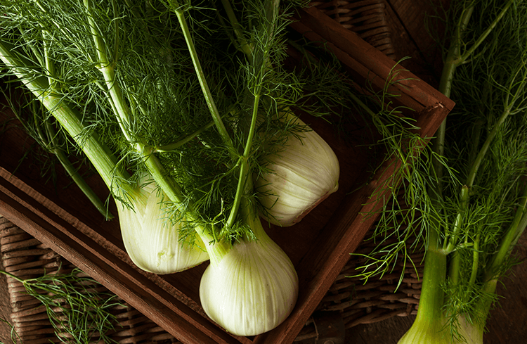 Aegean Herbs in Turkish Cuisine