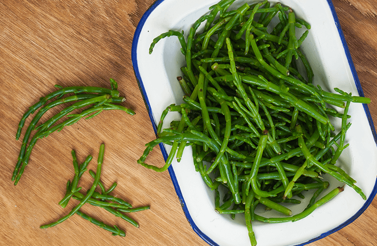 Aegean Herbs in Turkish Cuisine