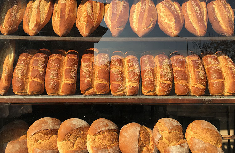 Bread Bakery