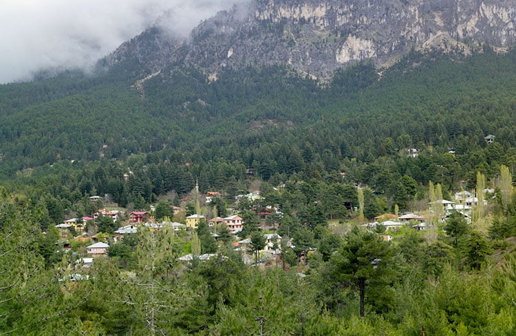 Bürücek Yayla