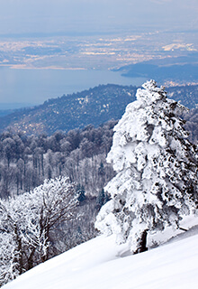 Sapanca Kartepe