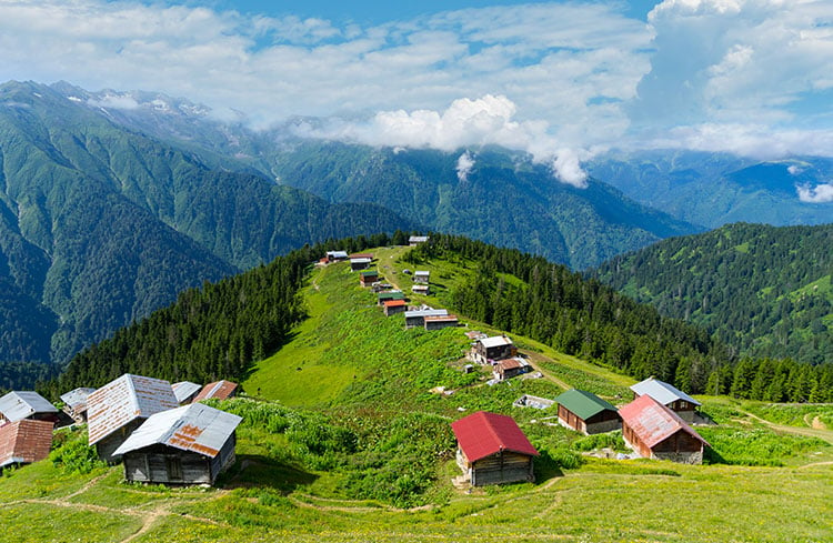 Pokut Yayla