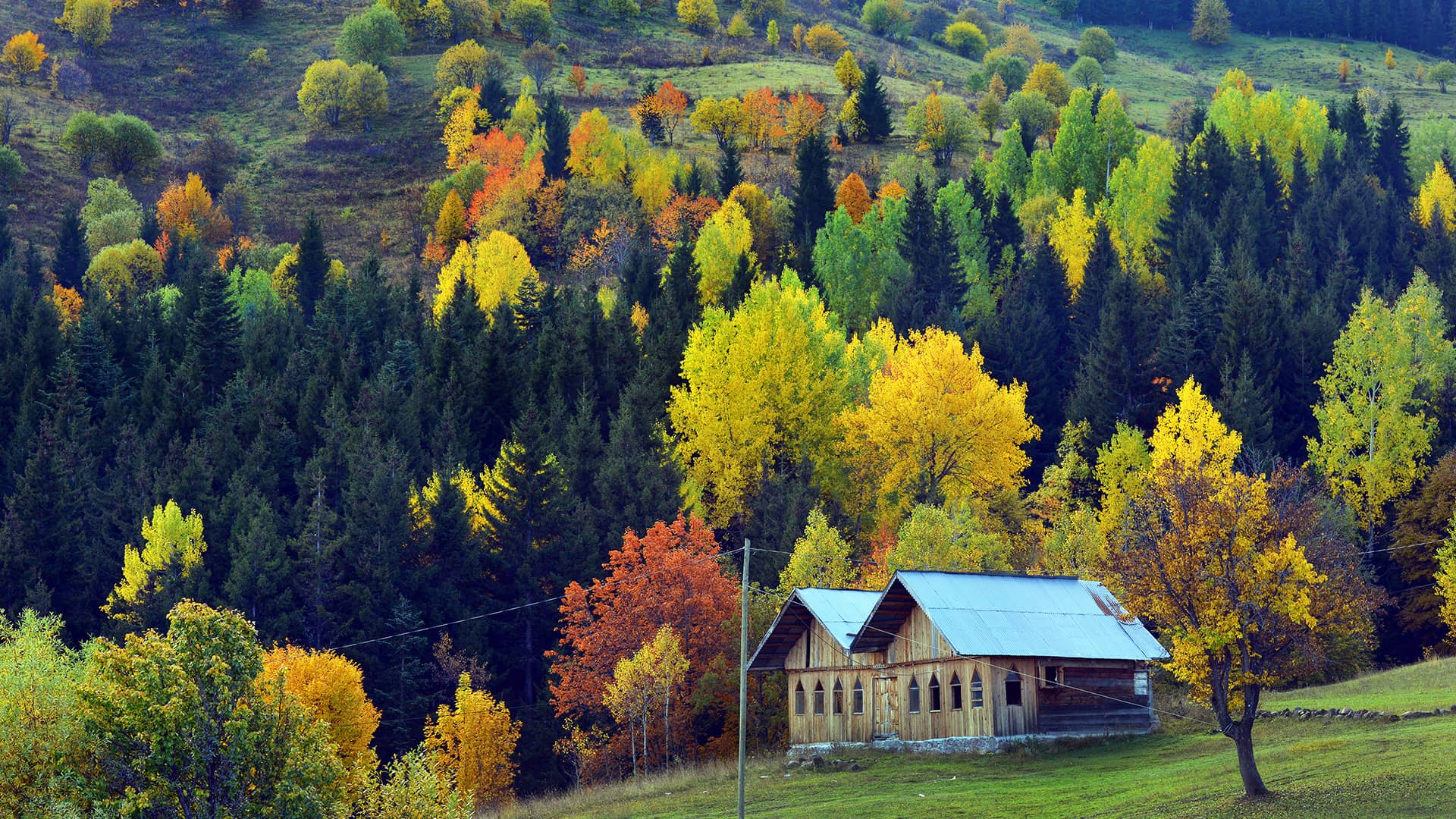 Şavşat