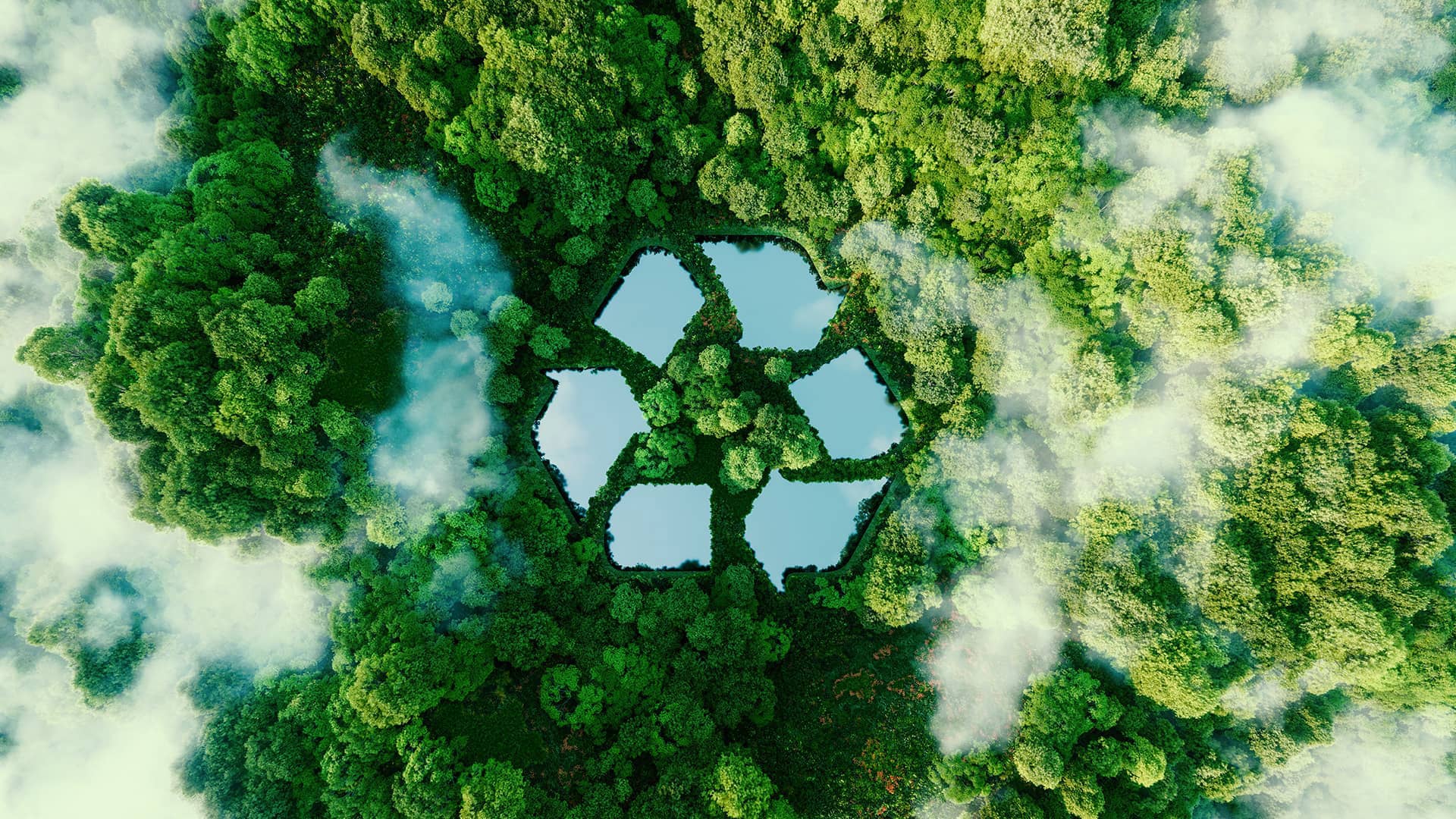 Bozcaada Festival Internacional del Documental Ecológico