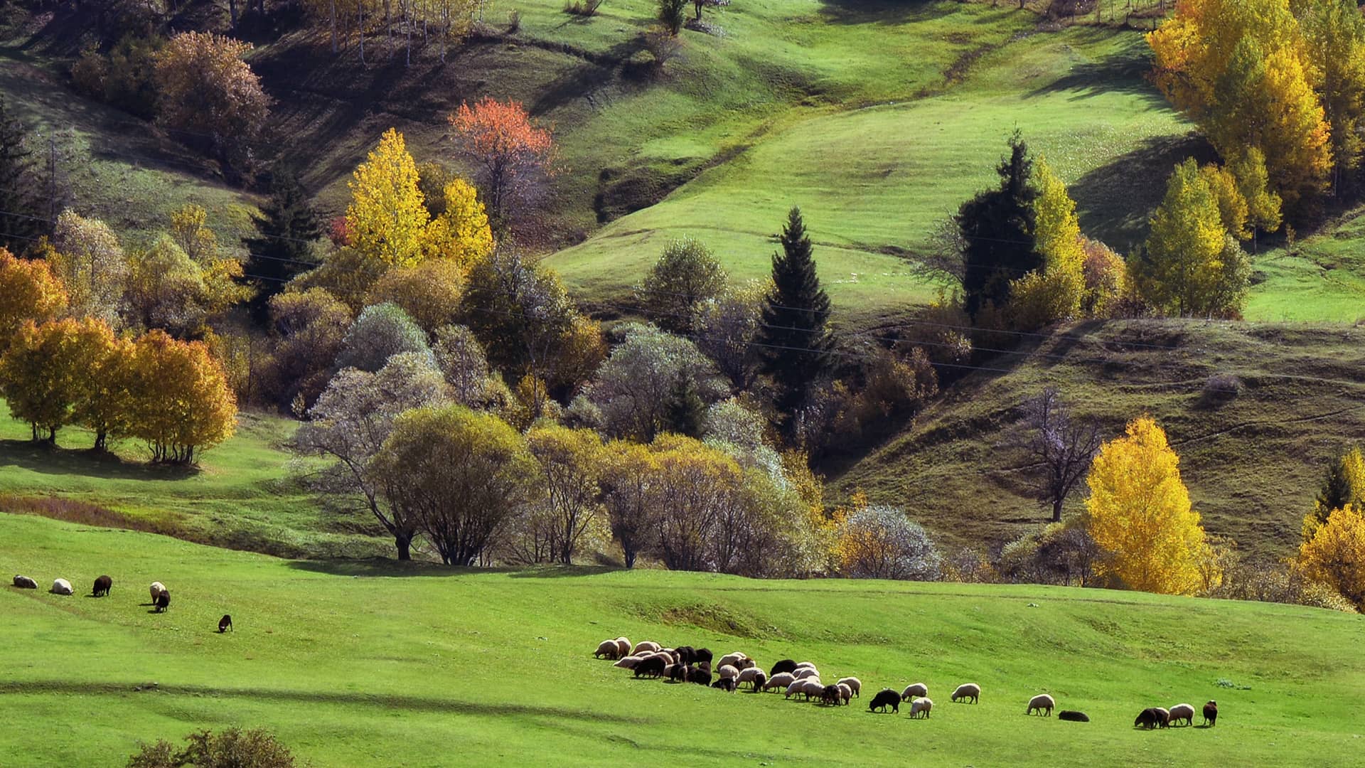 https://cdn.goturkiye.com/goturkiye/savsat-2-icerik.jpg