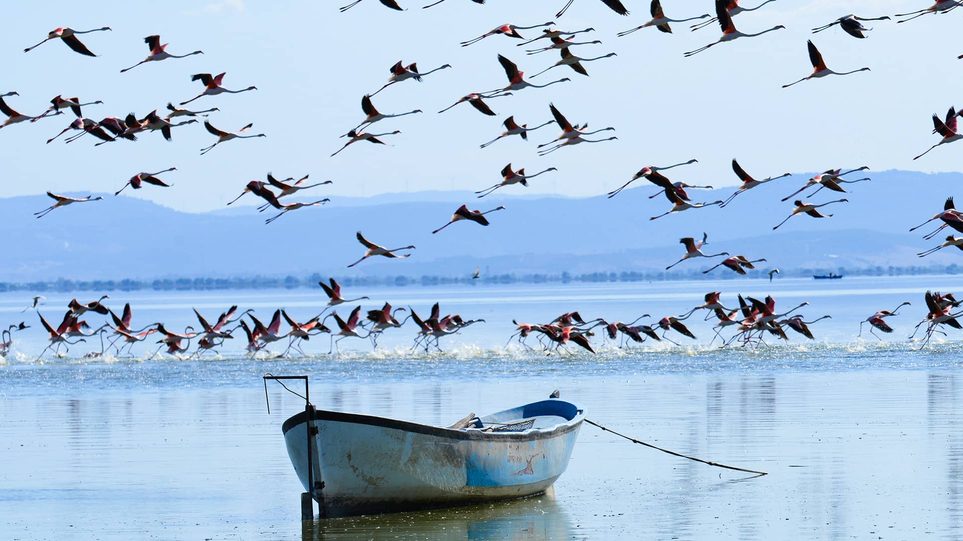 https://cdn.goturkiye.com/goturkiye/shutterstock743438185.jpg