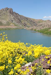 Національний парк Джило Сат Даглари/Cilo Sat Dağları