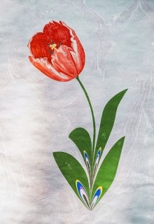 Ebru The Art Paper Marbling