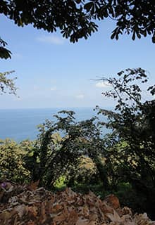 Île de Giresun