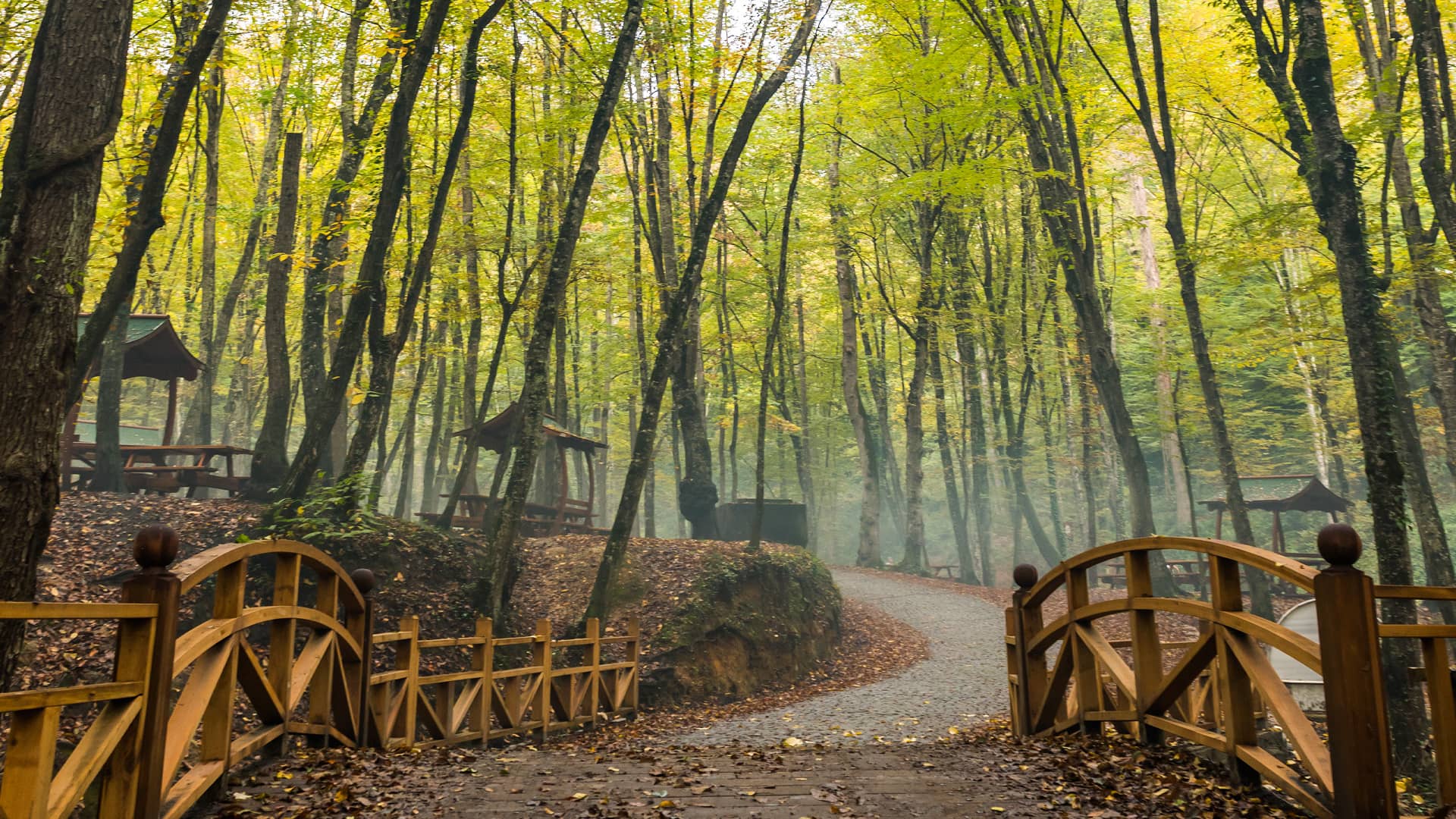 Belgrade Forest İstanbul GoTürkiye